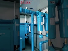 6000-8000 ore vita utile filtro dell'aria compressa con bassa perdita di pressione di 0,25 bar