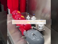 Sperimenta i vantaggi dell'Auto-Scarico Interno HAD20B per il Filtro del Silenziatore della Pompa dell'Acqua